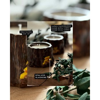 Žvakės “Kelmutis su grybukais”