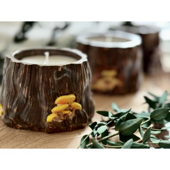 Žvakės “Kelmutis su grybukais”